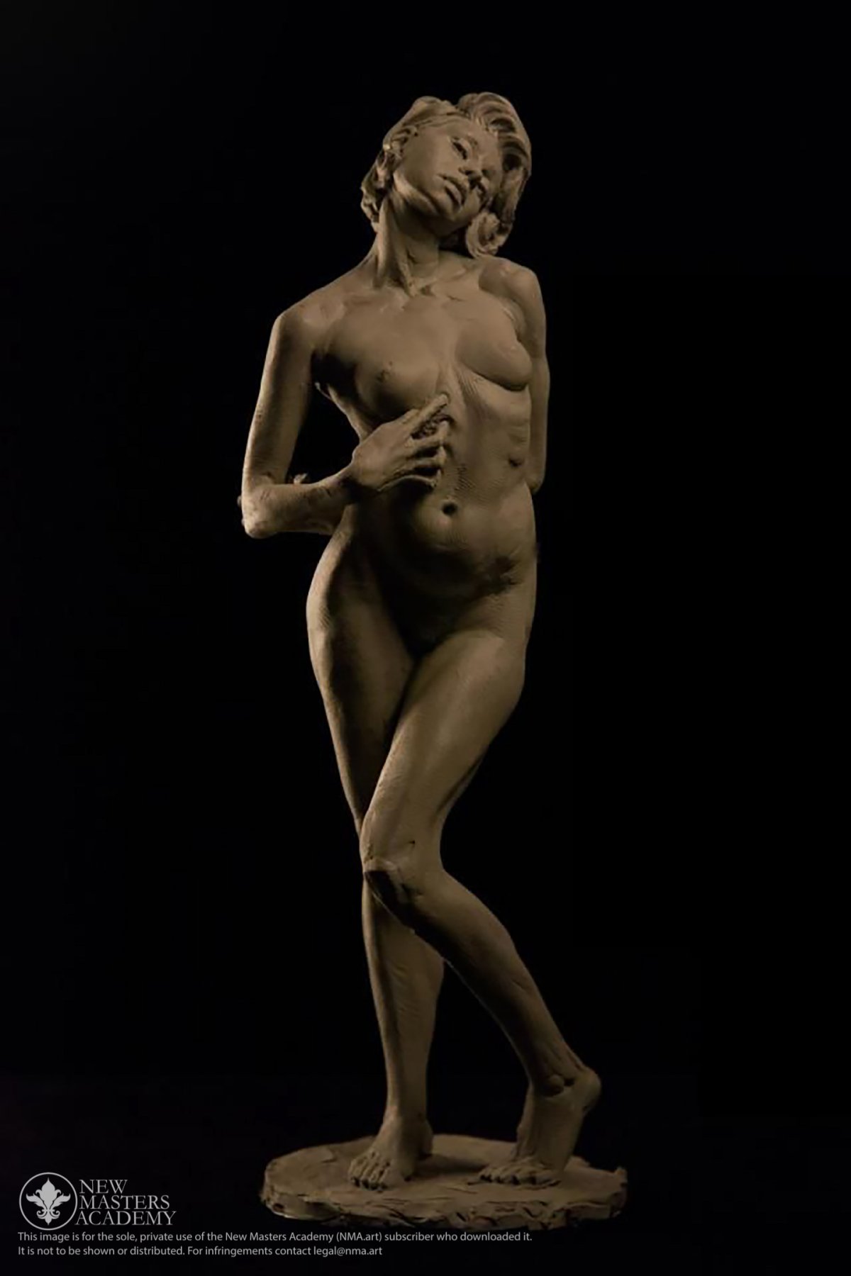 Натурщицы Michael James Talbot