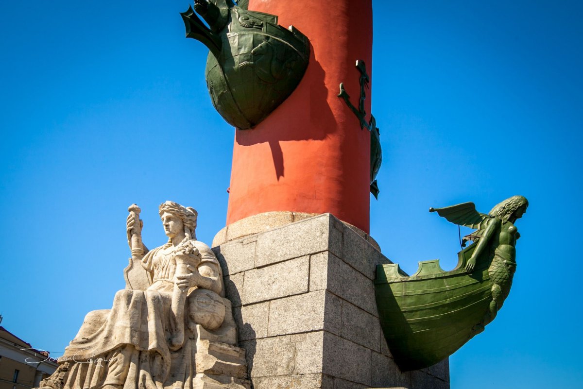 Rostral columns