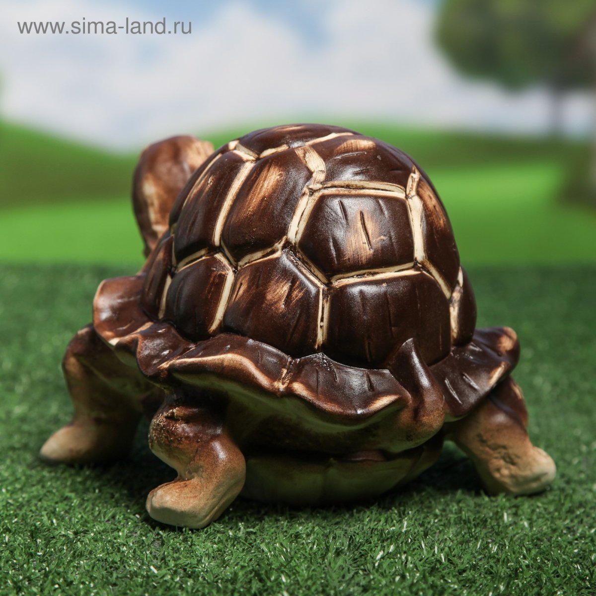 Коричневая черепаха