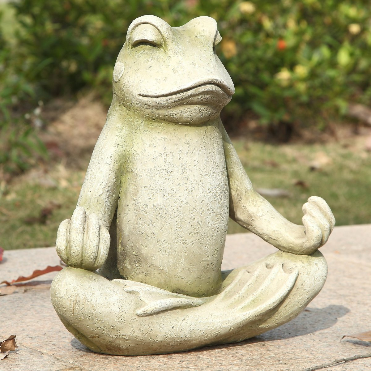 Frog sitting