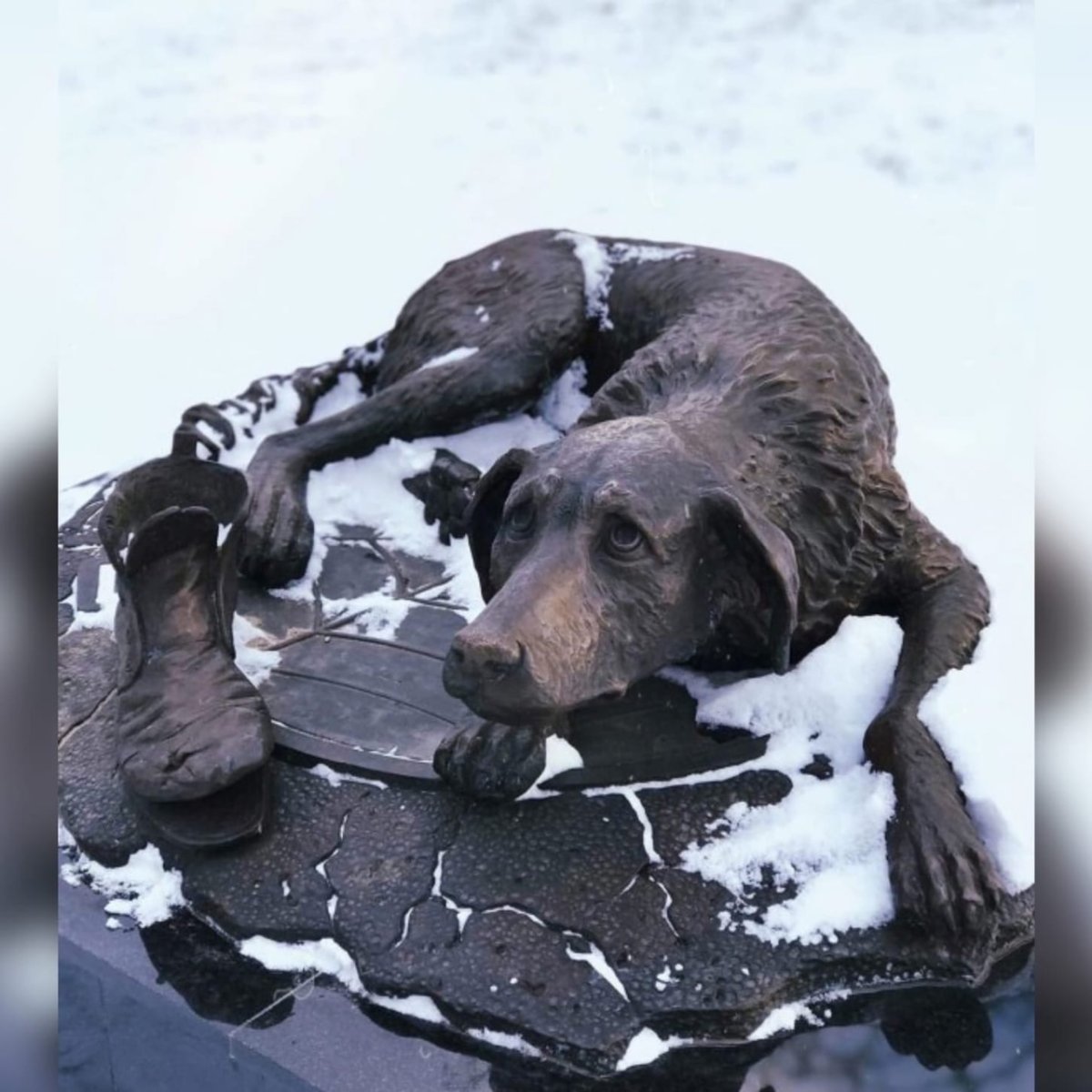 Памятник бездомным животным Музеон