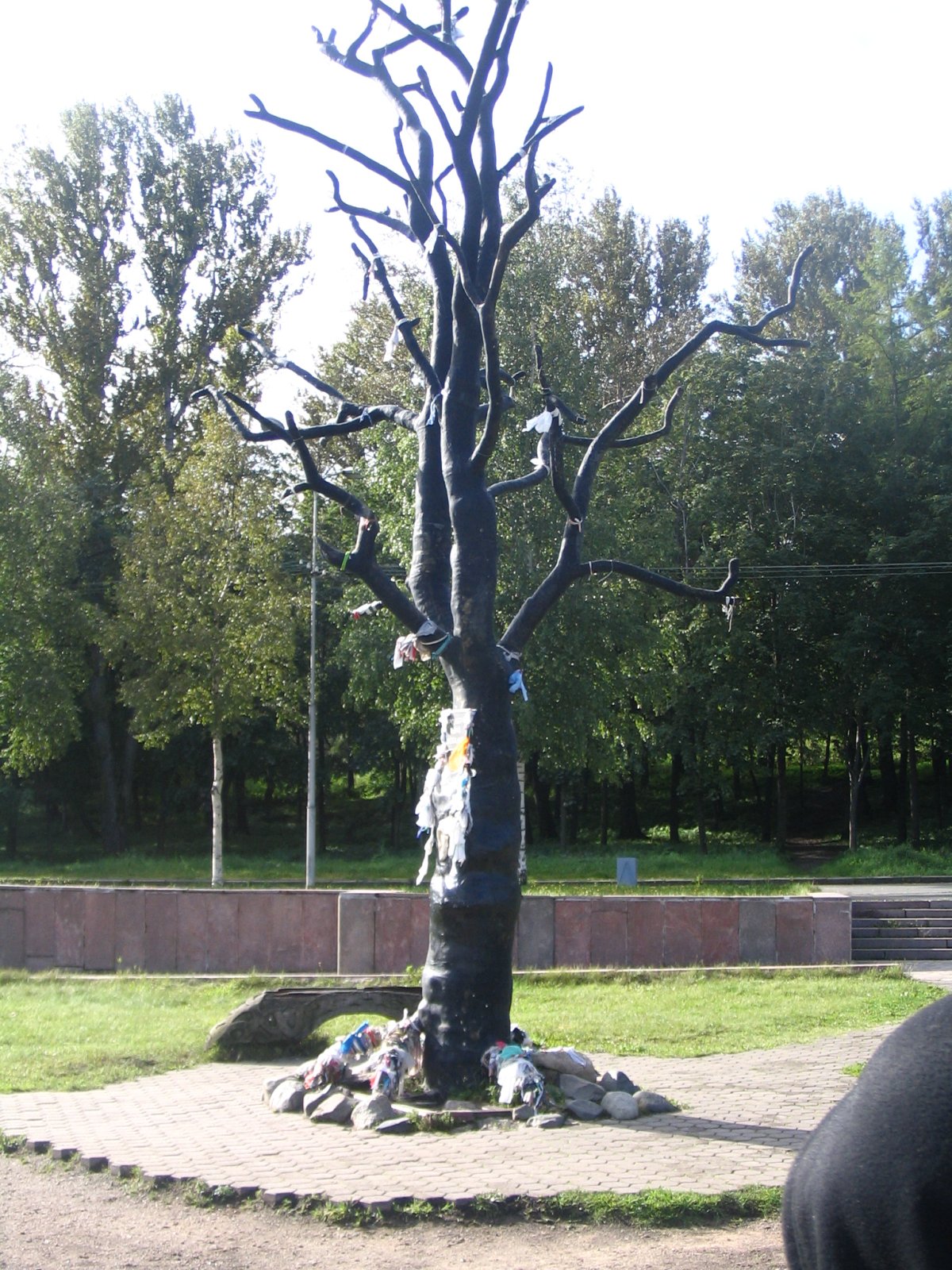 Дерево желаний Петрозаводск