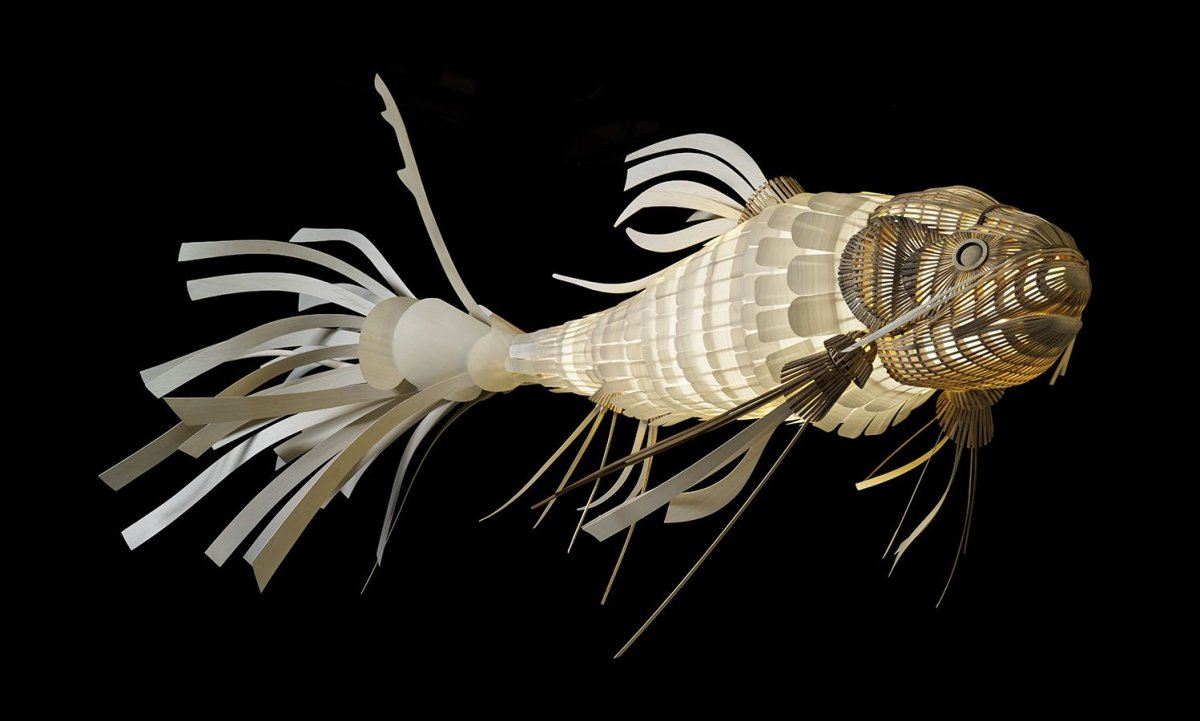 LZF Koi