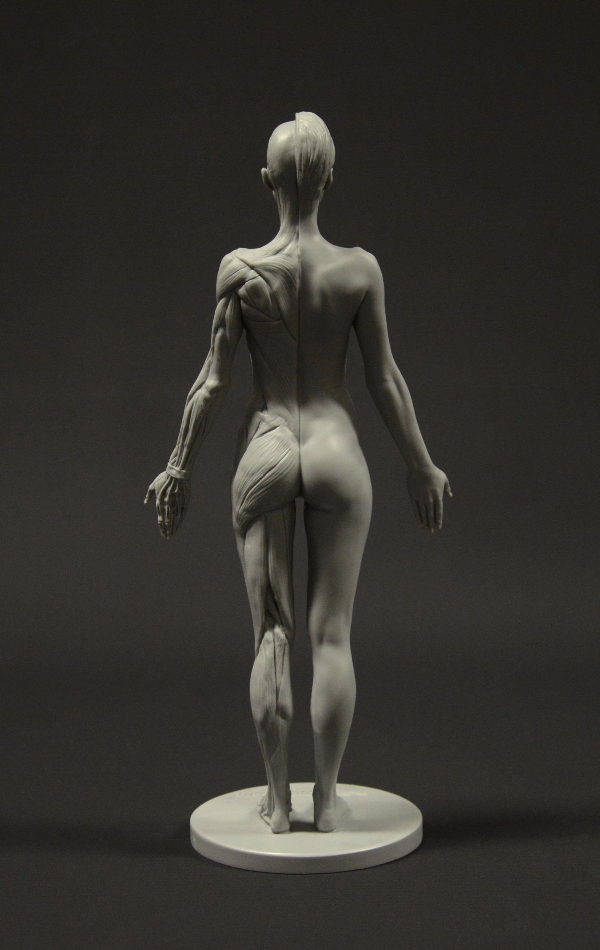Экорше для Zbrush
