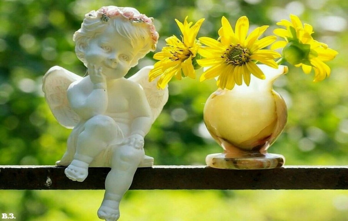 Жизнь дарит радость и цветы