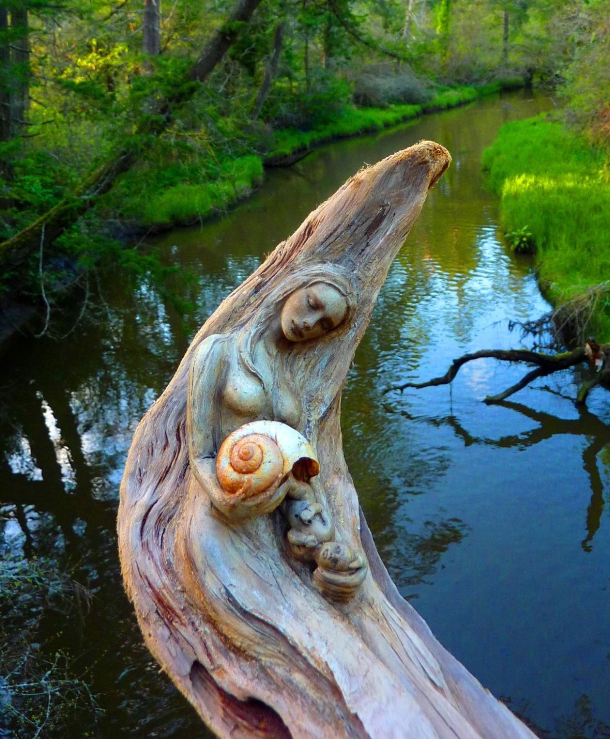 Wood Major