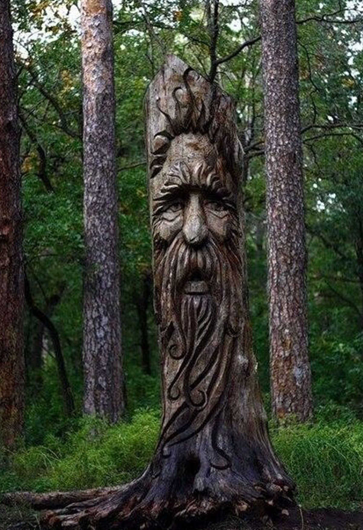 Резьба по дереву Лесная скульптура