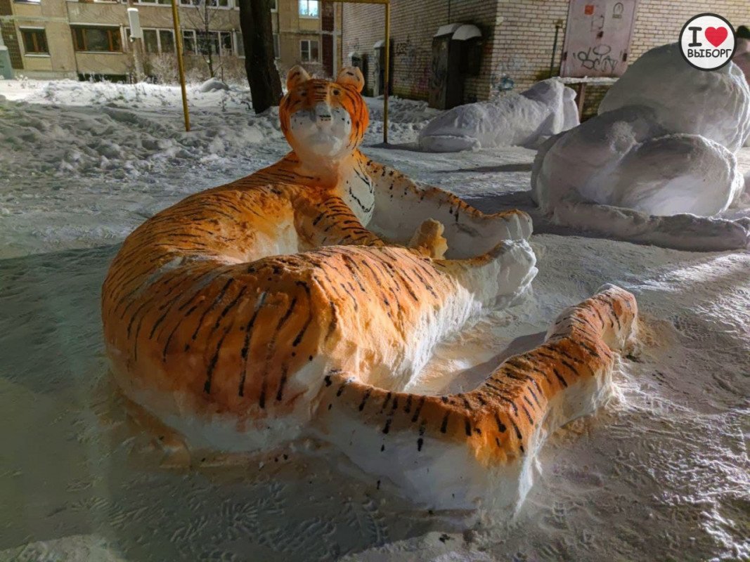 Тигр во дворе