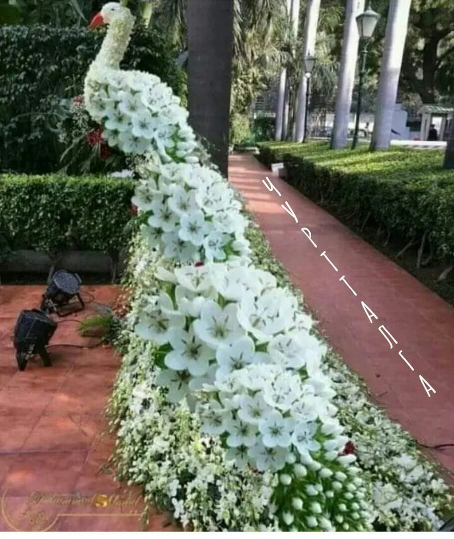 Павлин из цветов