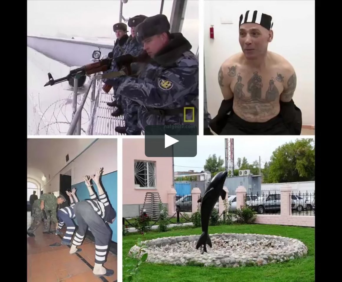 Соль-Илецк колония черный Дельфин