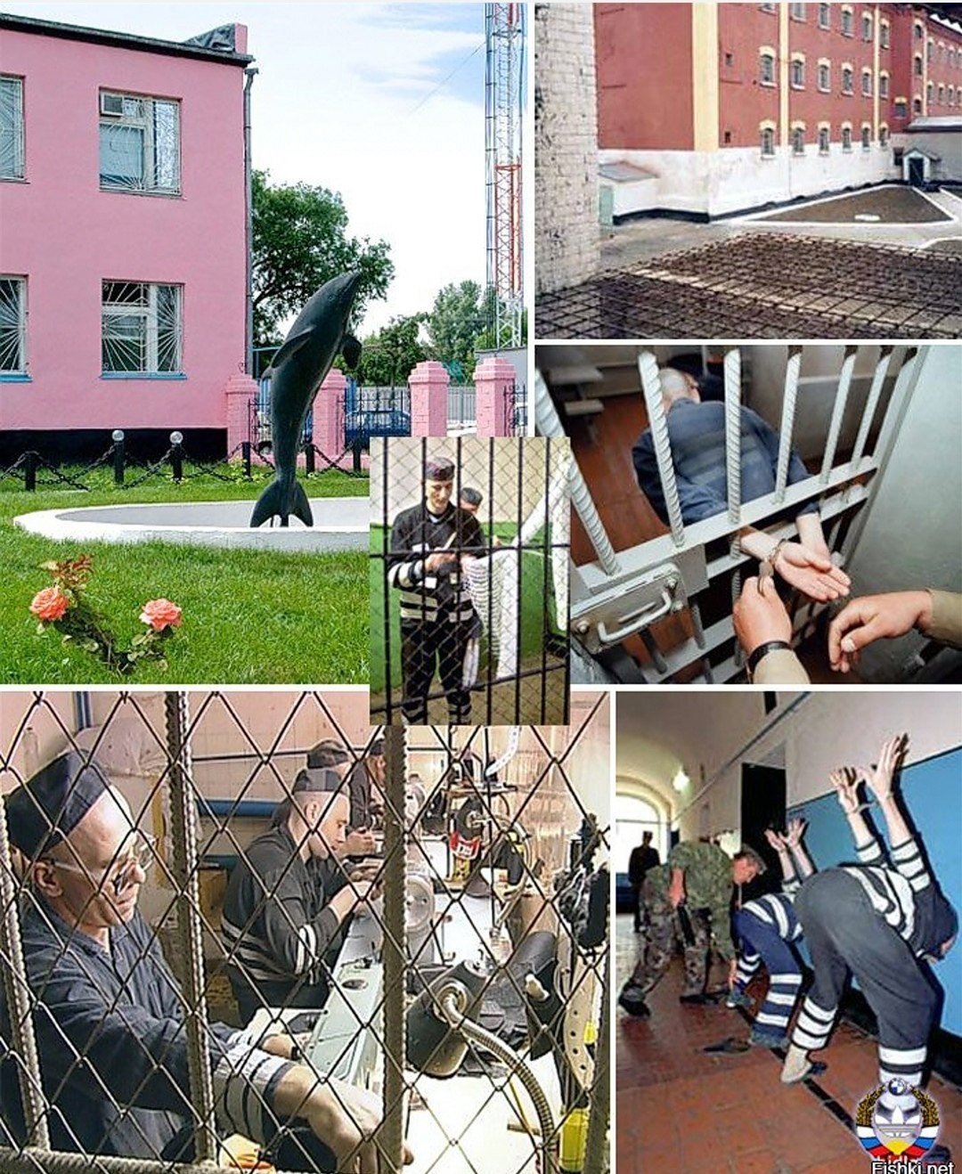 Лагерь черный Дельфин