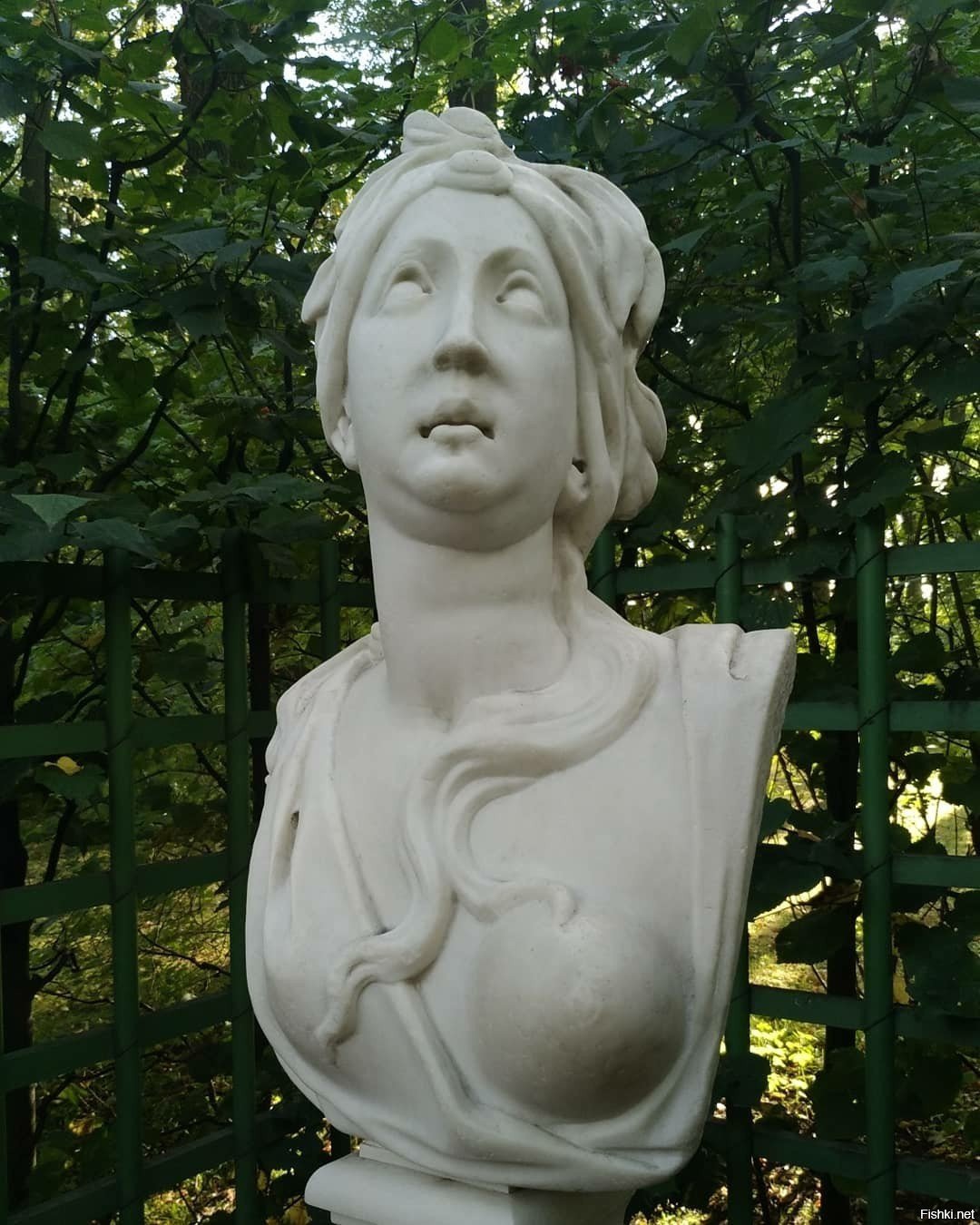Летний бюст