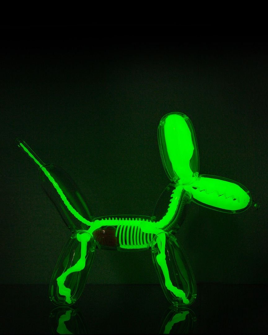 Balloon Dog Jason Freeny buy