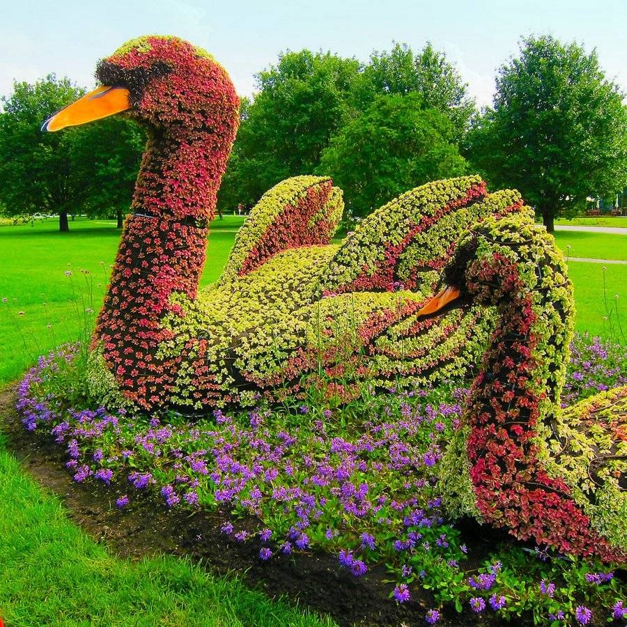 Зеленые скульптуры для сада