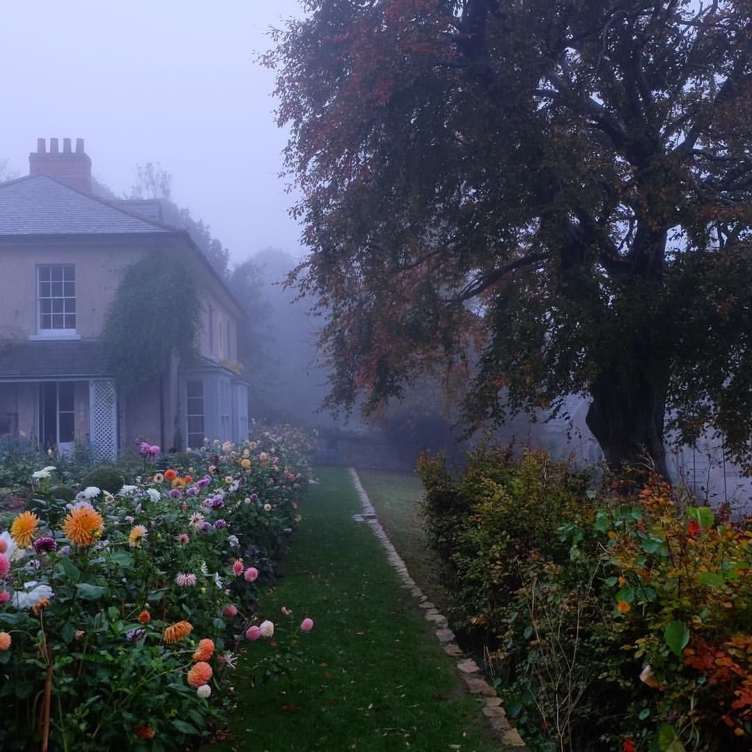 Cottage aesthetic деревня