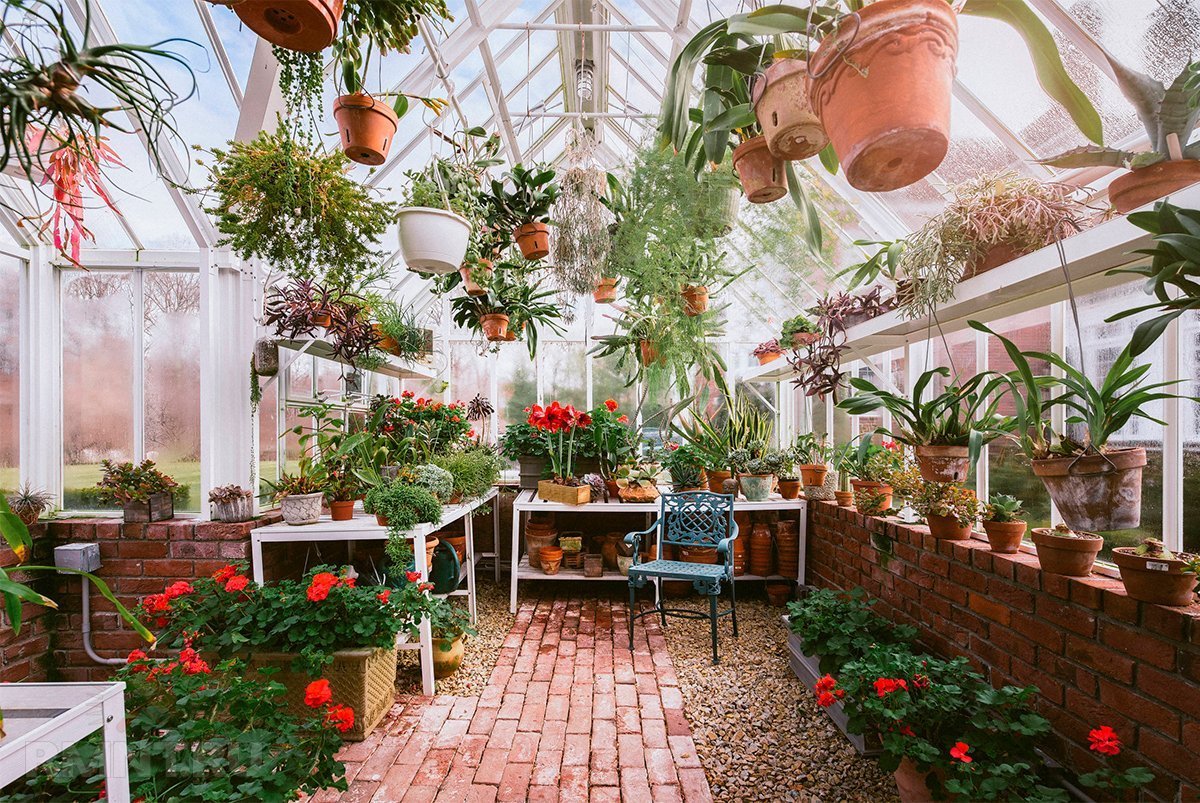 Оранжерея / the Greenhouse