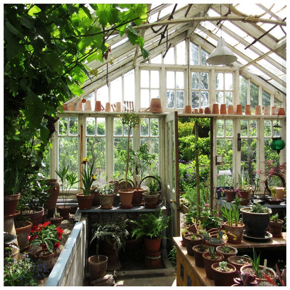 Теплица Елены Власенко Green House