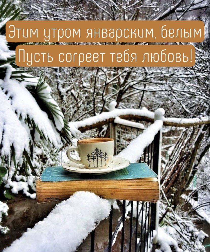 Утро кофе снег