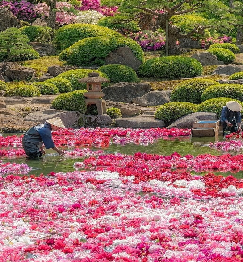 Yuushien Garden Мацуэ
