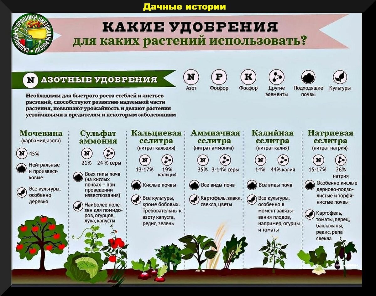 Таблица удобрений для дачника