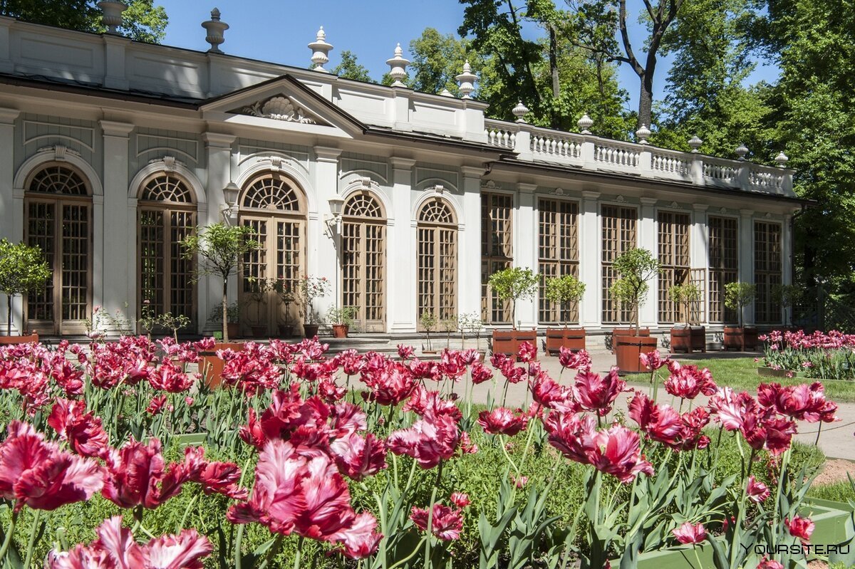 Летний сад Петра в Санкт-Петербурге
