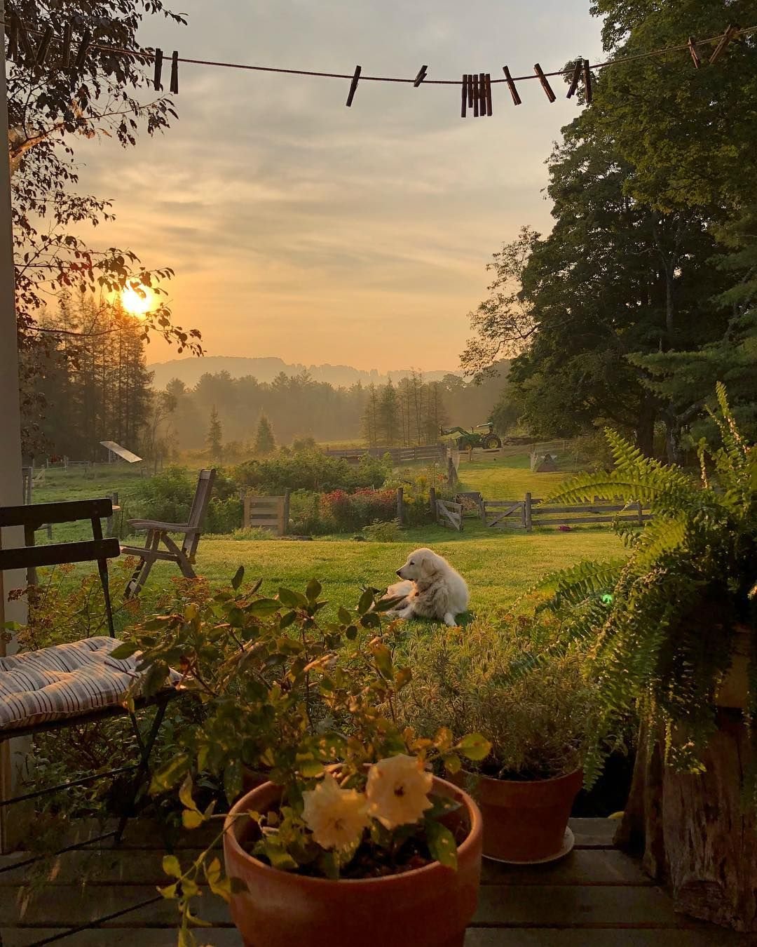 Cottage aesthetic деревня