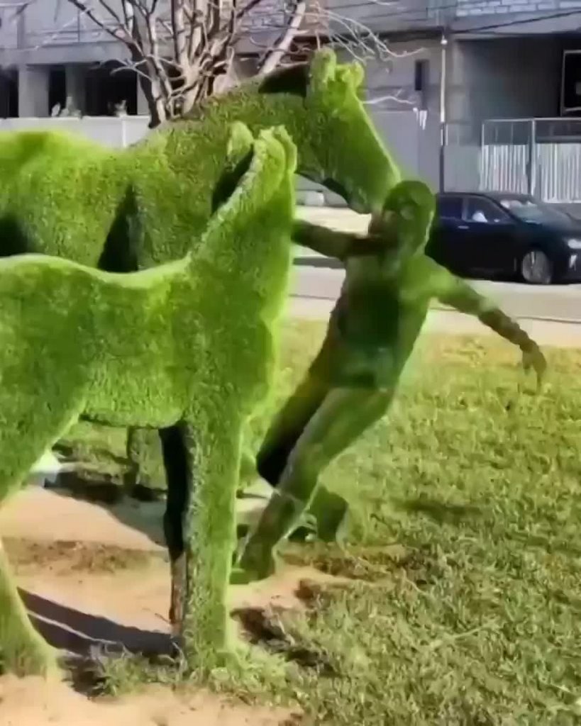 Крутой куст