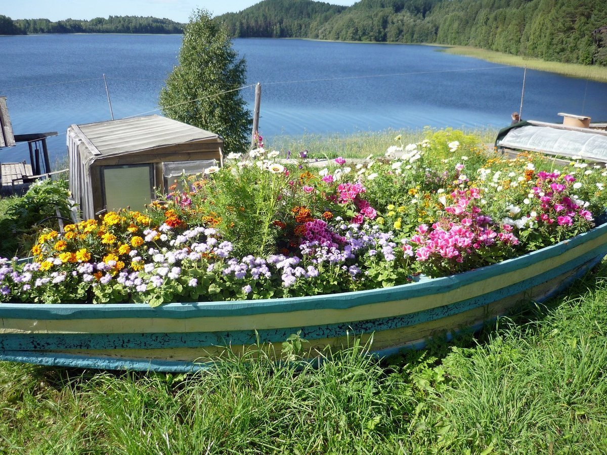 Цветник в лодке