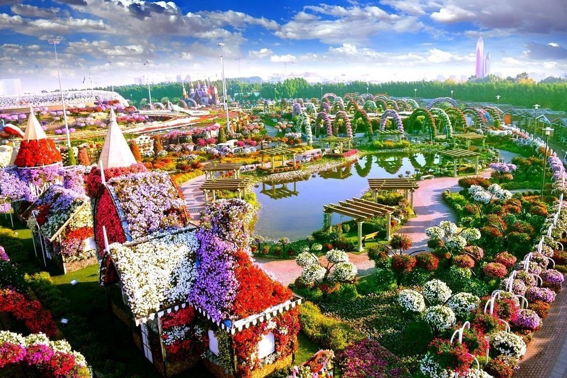 Миракл Гарден Дубай