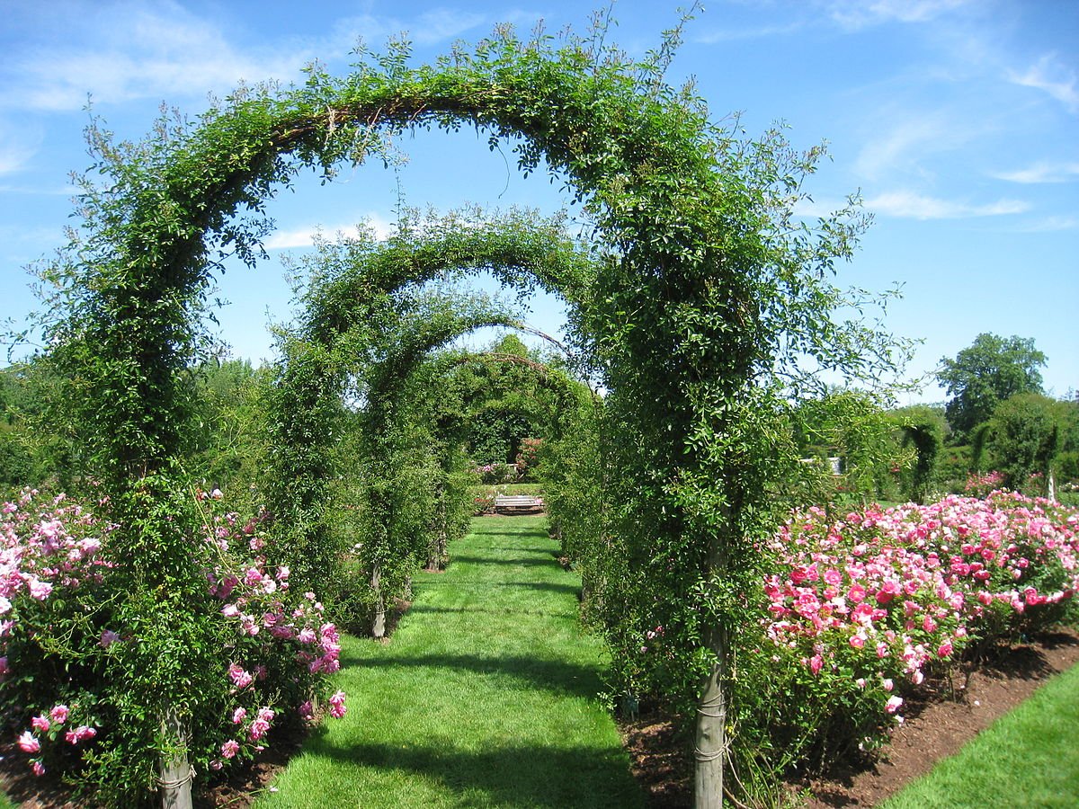 Elizabeth Park Rose Garden, США