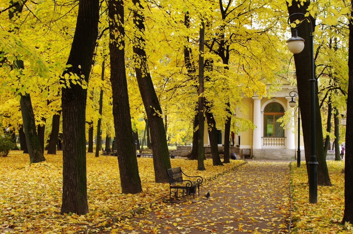 Михайловский сад осень СПБ