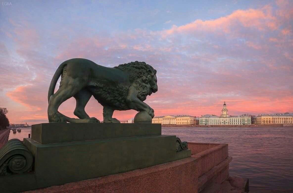 Львы на набережной в Санкт-Петербурге