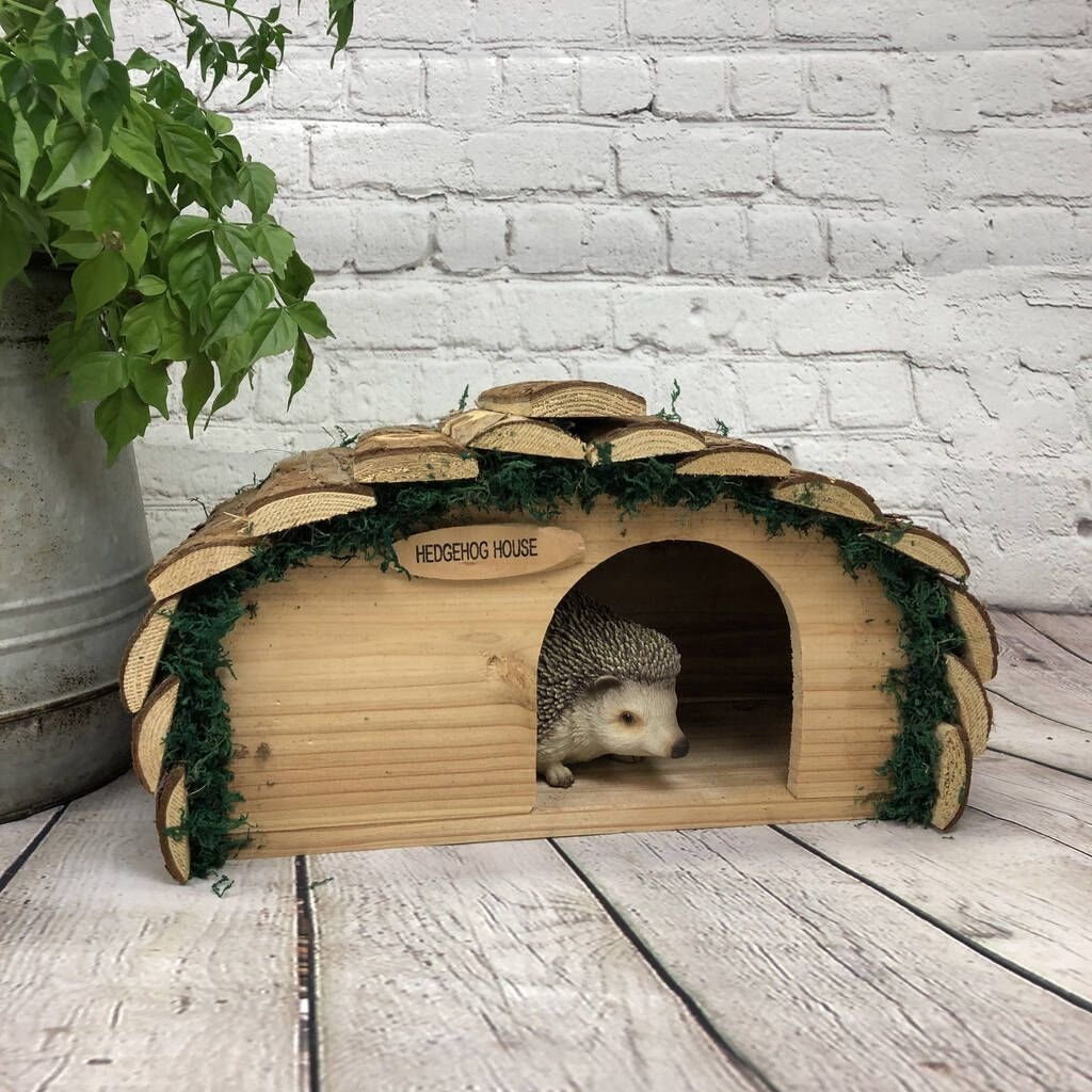 Hedgehog House