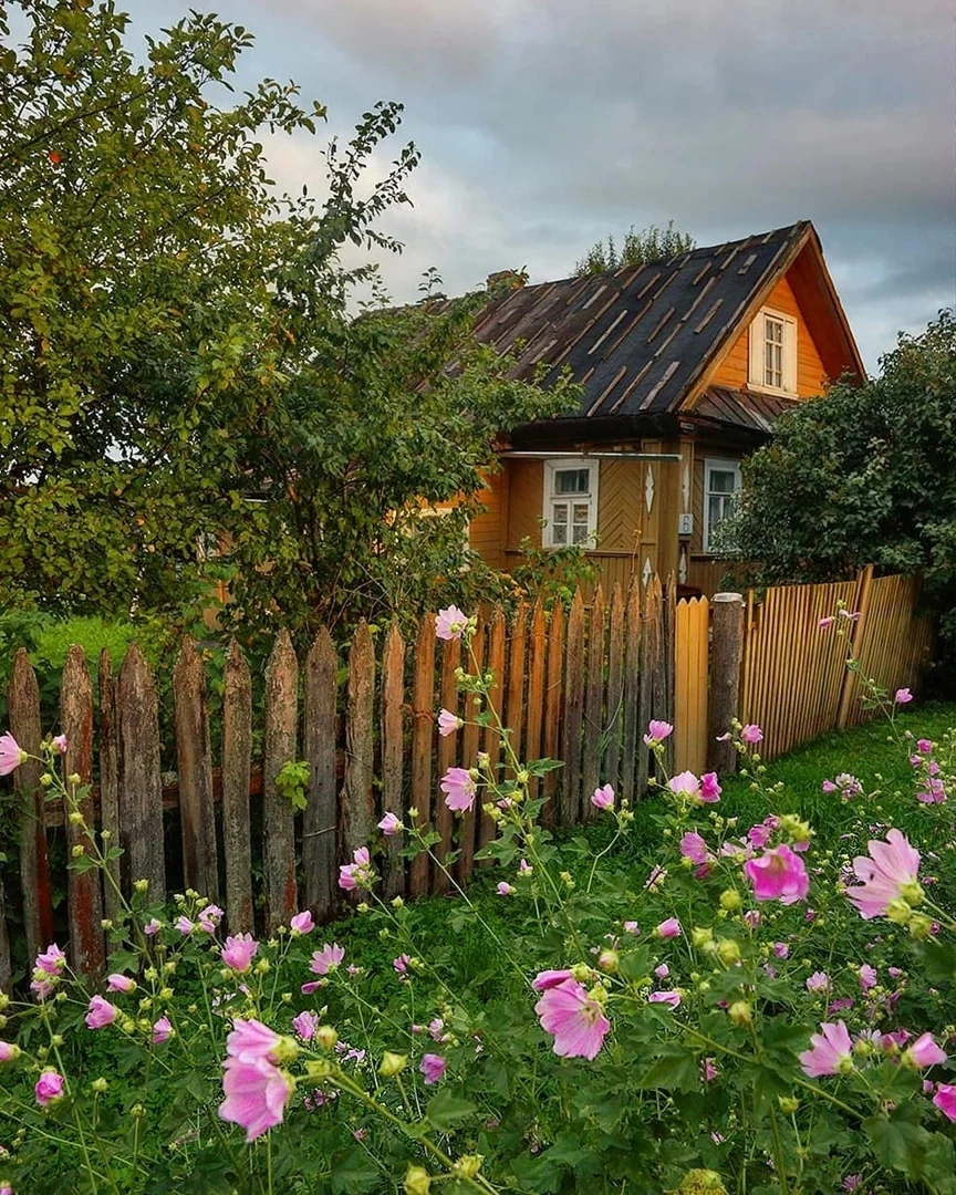 Дом в селе