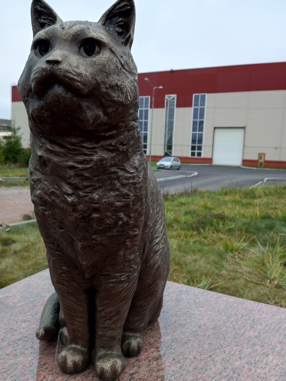Кот Кузьма памятник в Питере