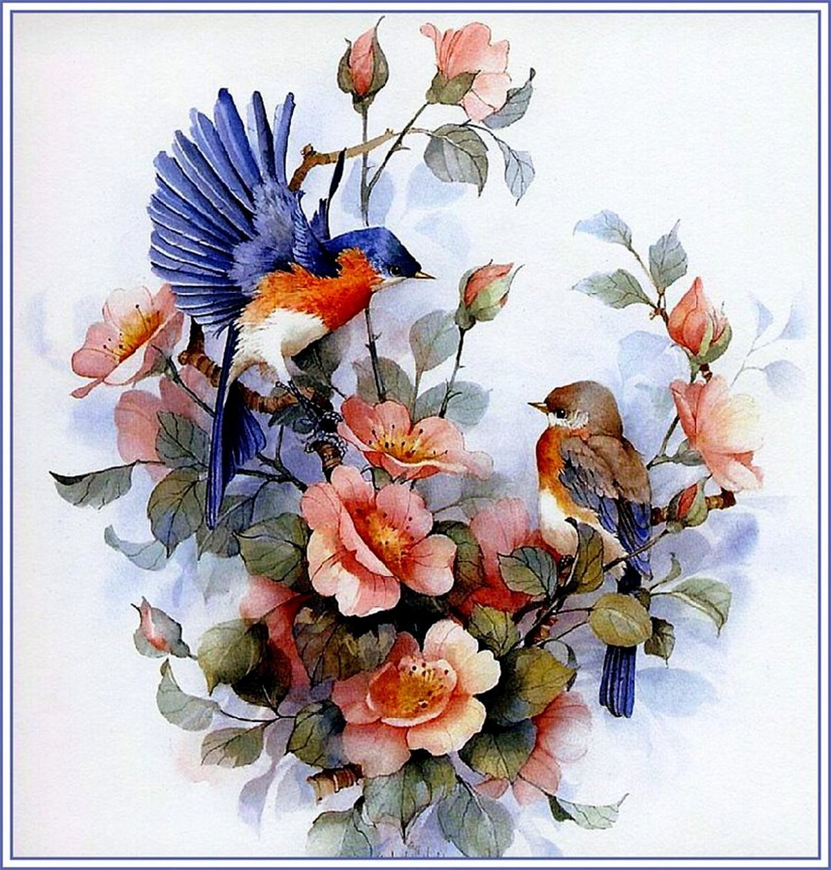 Художник Carolyn Shores акварель птицы