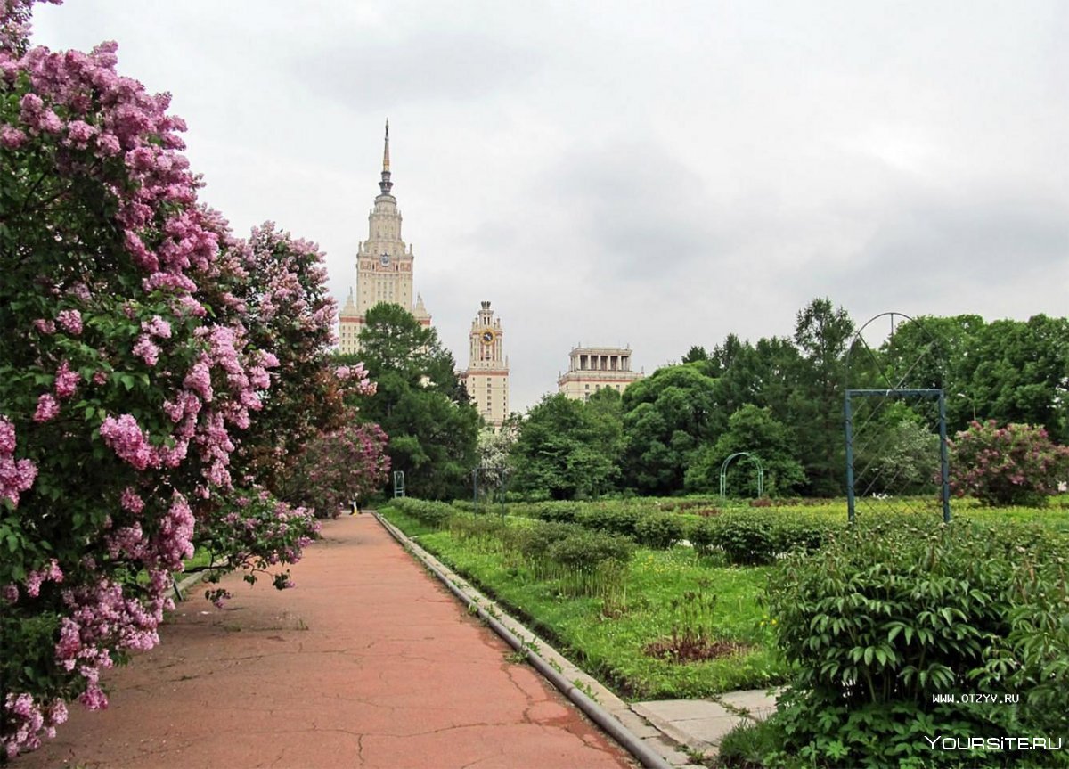 Ботанический сад МГУ Москва