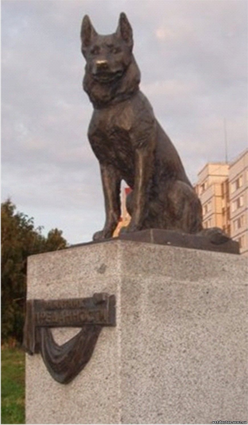 Памятник Джульбарсу в Ашхабаде