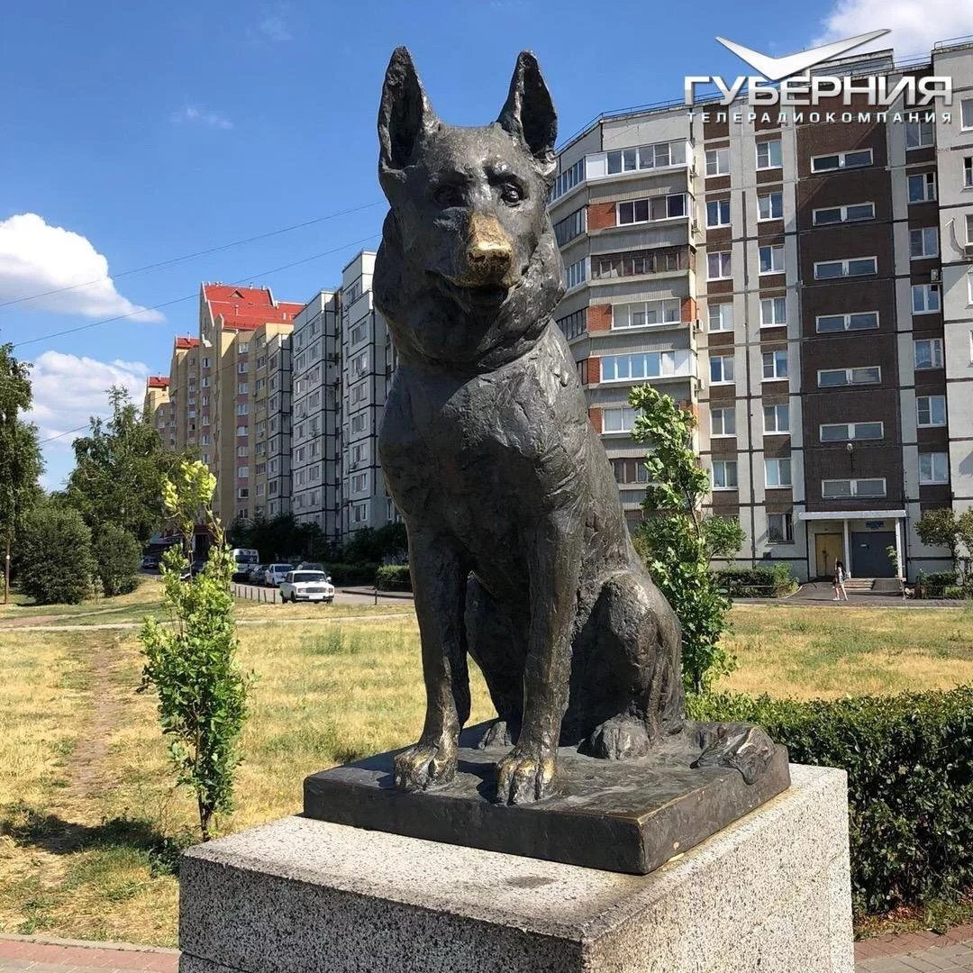 Памятник преданности собаке в Тольятти