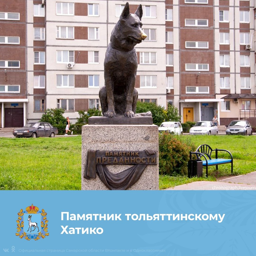 Памятник верному псу Тольятти