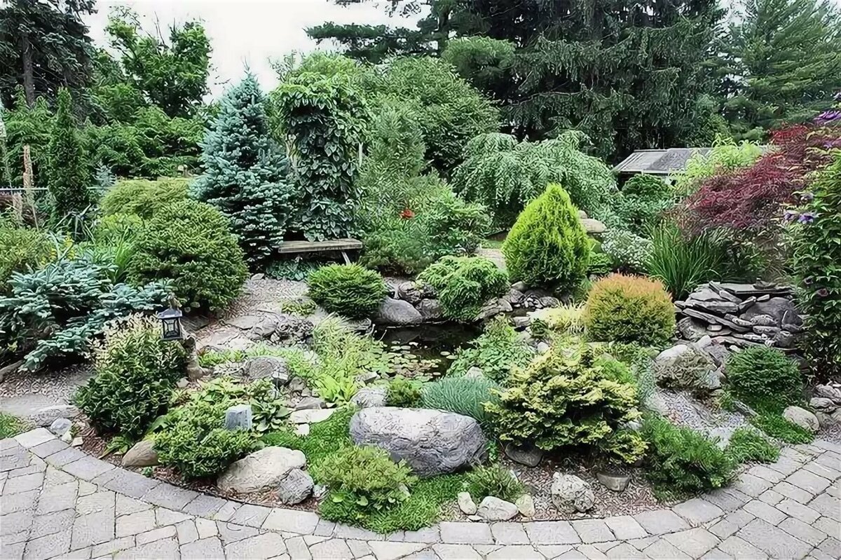 Альпийская горка Хоста можжевельник