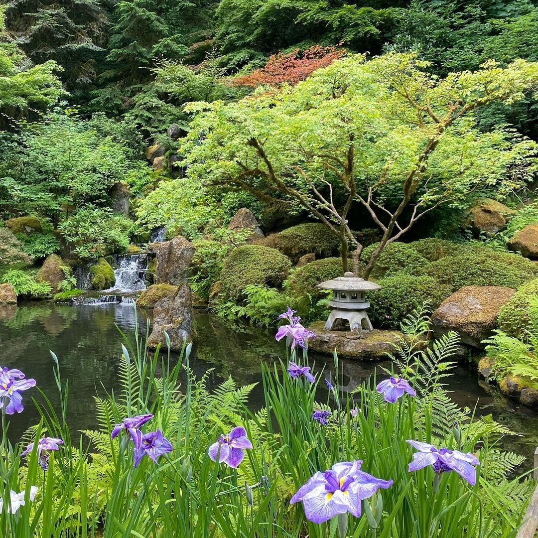 Дача японский сад