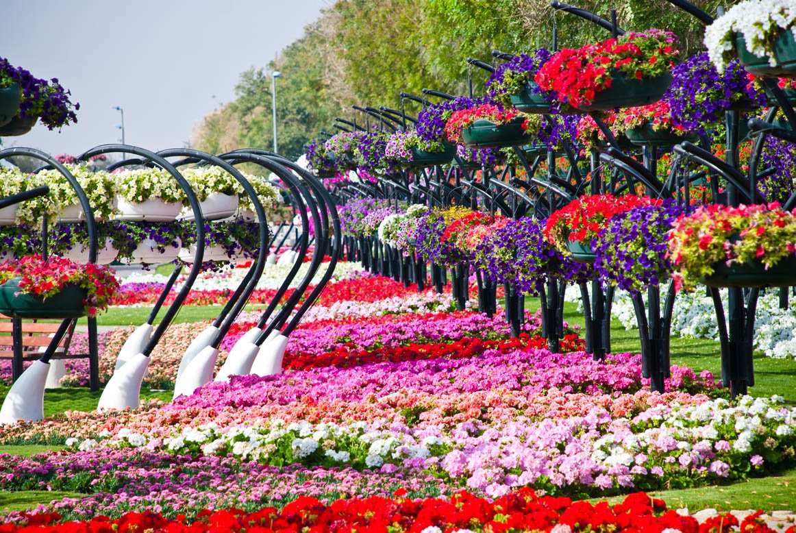 Al Ain Paradise парк