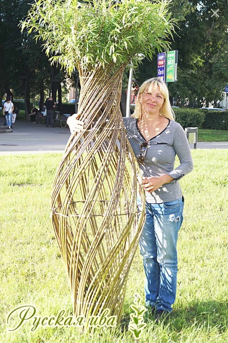 Плетеные деревья из ивы