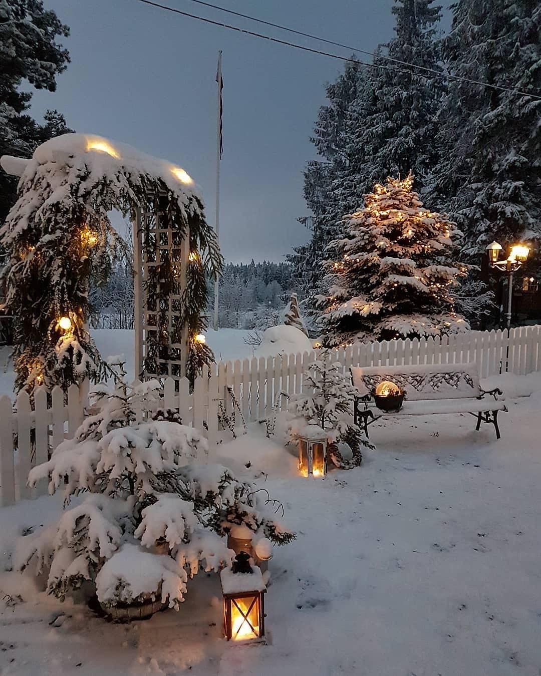 Красивый сад зимой