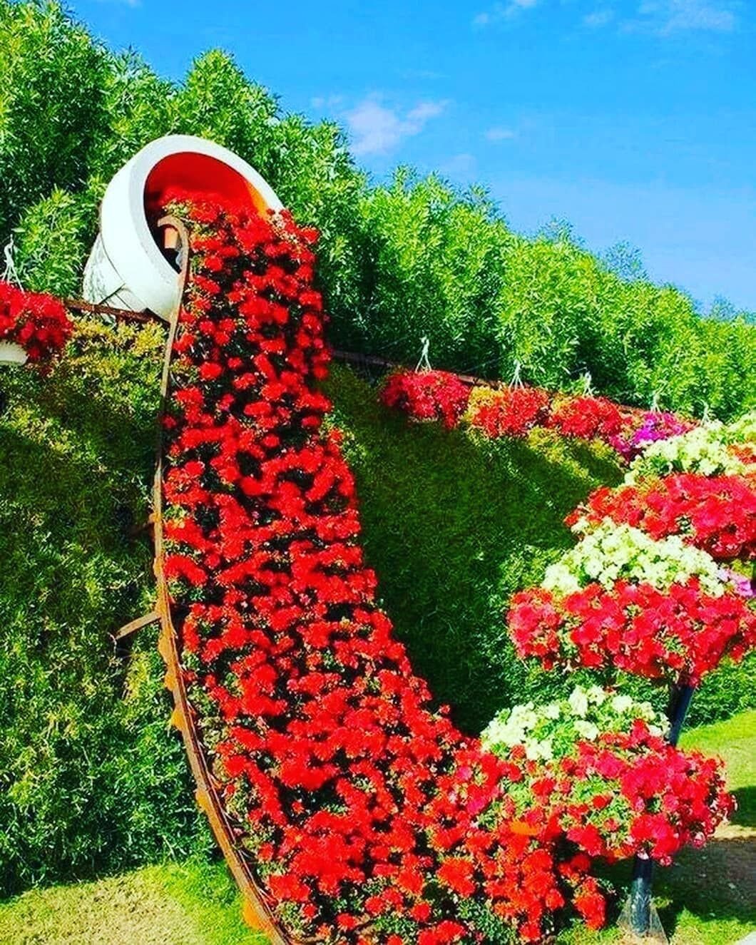 Красивые клумбы