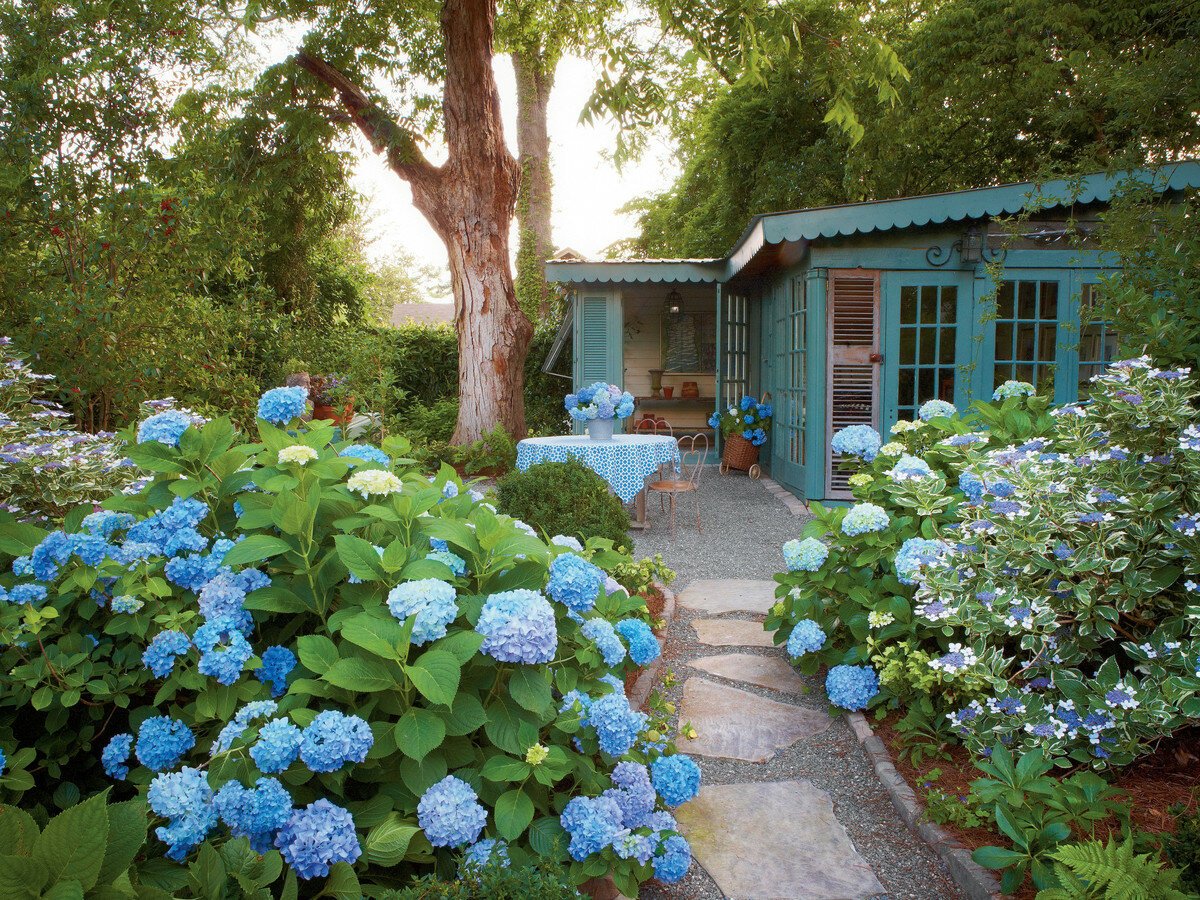 Hydrangea Garden
