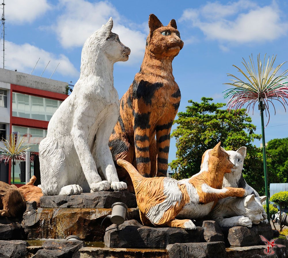 Кошачий город Кучинг