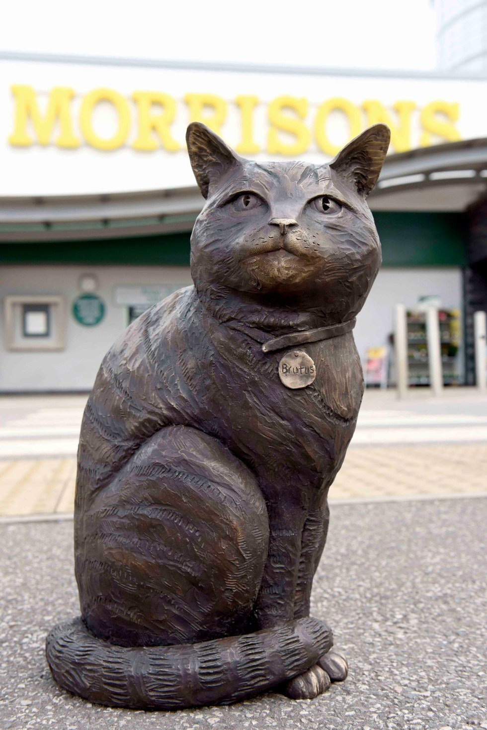 Скульптура кота