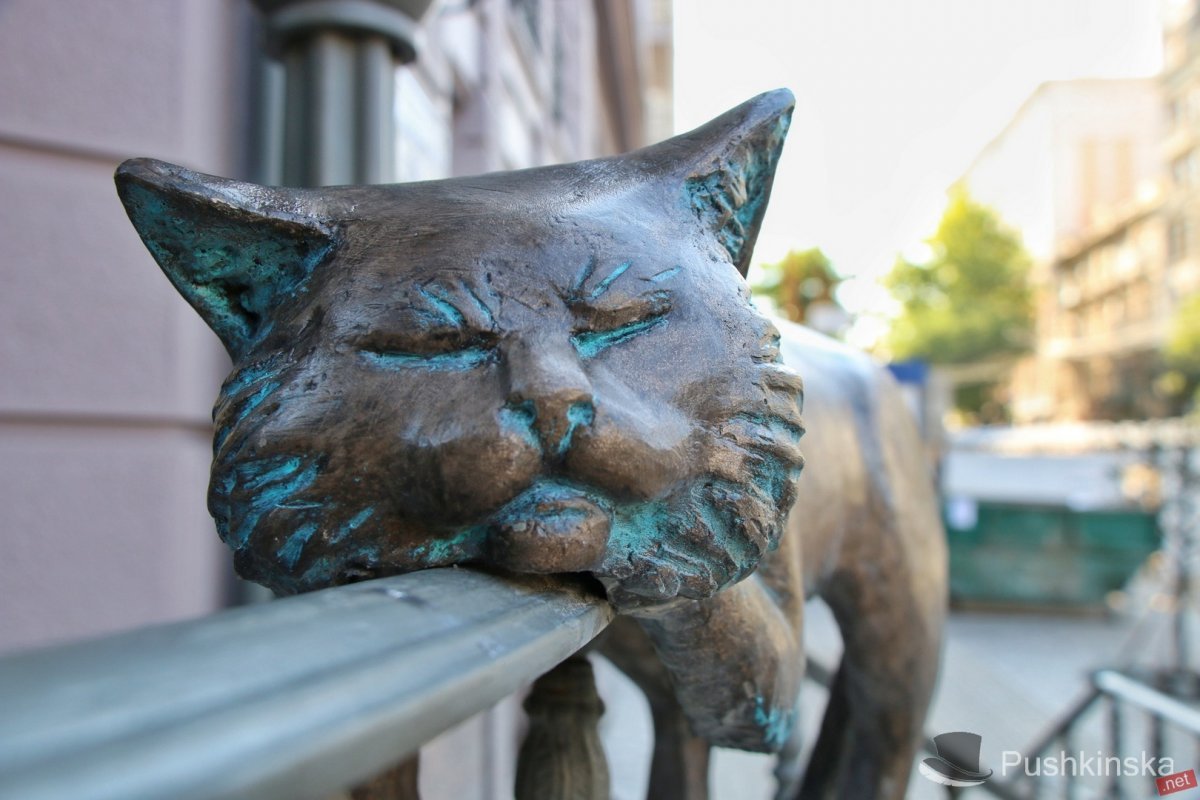 Памятник кошке